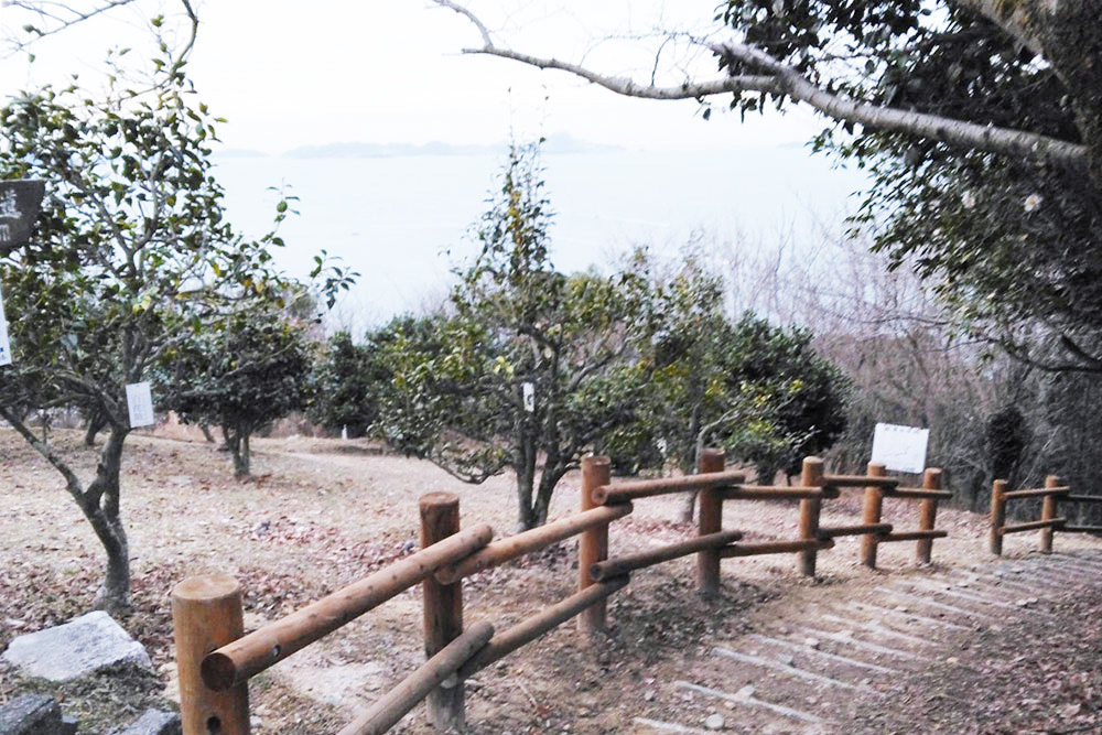 万葉の岬 散策コース