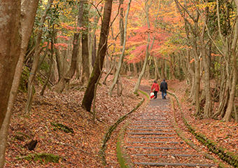 紅葉谷