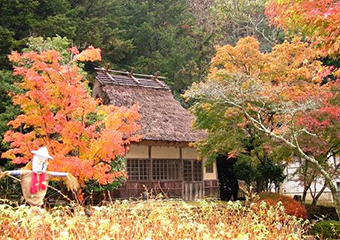 11月　羅漢の里もみじまつり