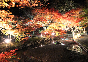 11月　東山公園もみじまつり