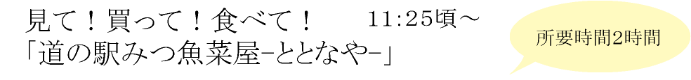 見て!買って!食べて!「道の駅みつ魚菜屋-ととなや-」
